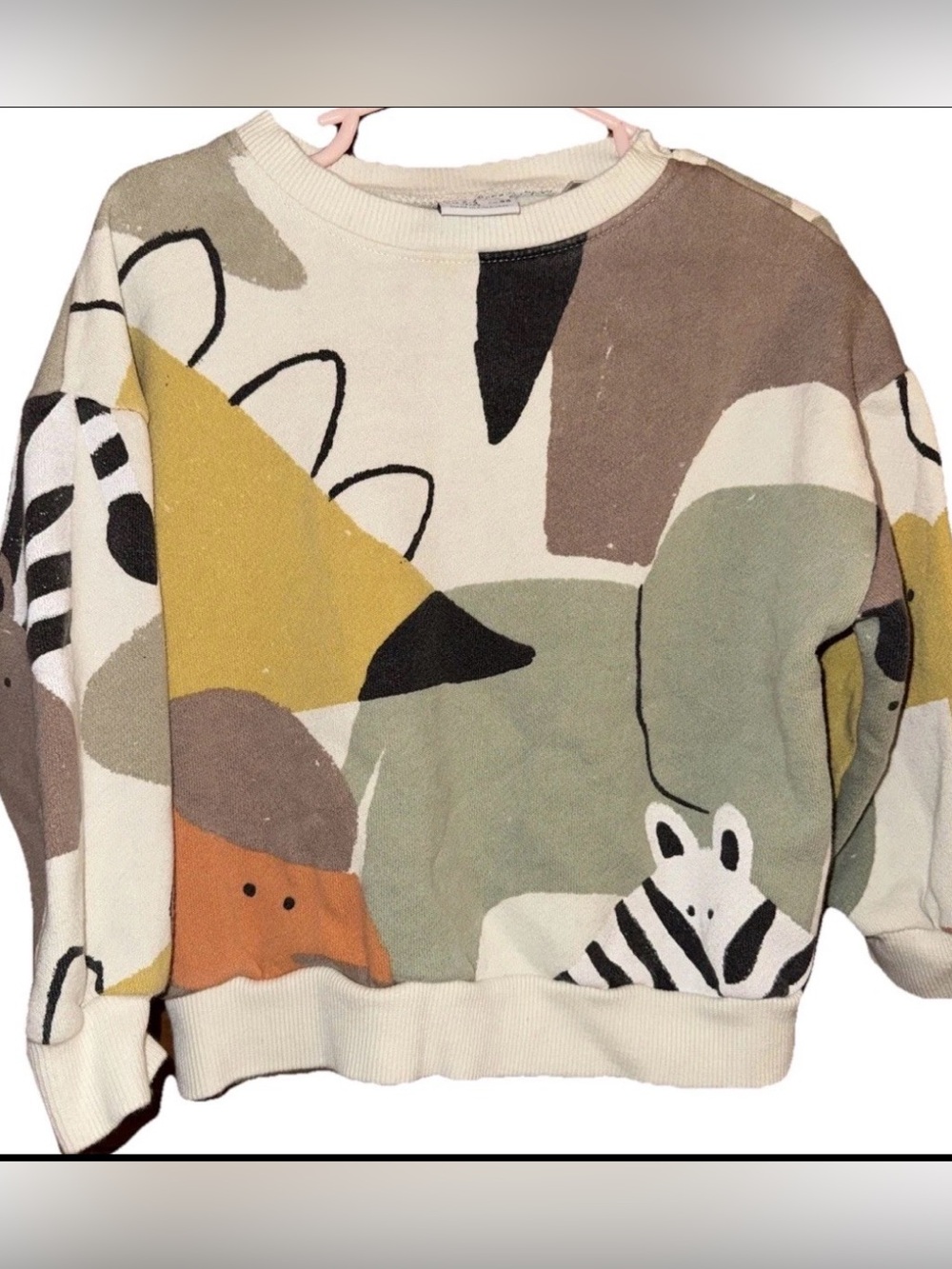 Zara Kid’s Toddler Colorblock Animal Pattern Crew Neck Sweatshirt Unisex